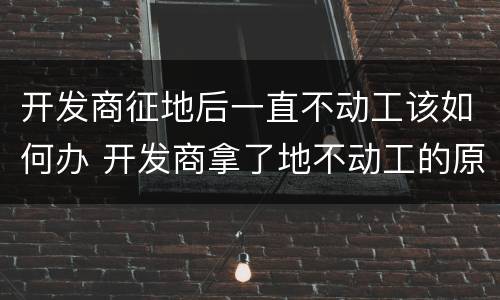 开发商征地后一直不动工该如何办 开发商拿了地不动工的原因