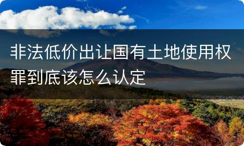 非法低价出让国有土地使用权罪到底该怎么认定