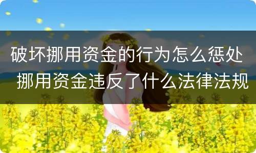 破坏挪用资金的行为怎么惩处 挪用资金违反了什么法律法规