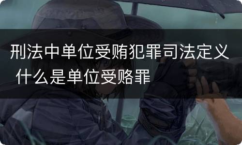 刑法中单位受贿犯罪司法定义 什么是单位受赂罪