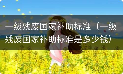 一级残废国家补助标准（一级残废国家补助标准是多少钱）