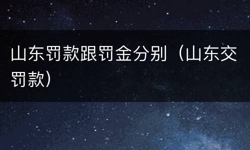 山东罚款跟罚金分别（山东交罚款）