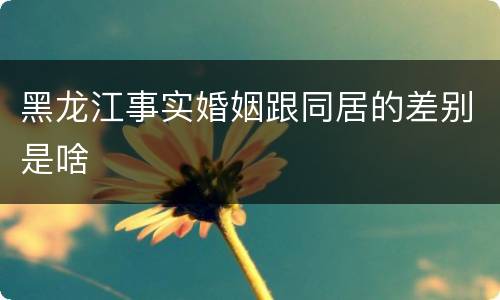 黑龙江事实婚姻跟同居的差别是啥