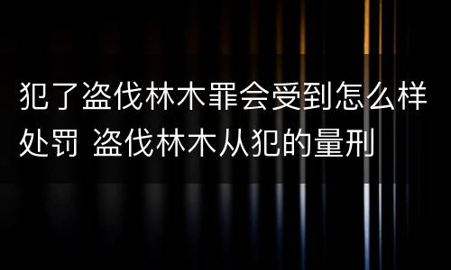 犯了盗伐林木罪会受到怎么样处罚 盗伐林木从犯的量刑