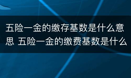 五险一金的缴存基数是什么意思 五险一金的缴费基数是什么意思,该怎么算