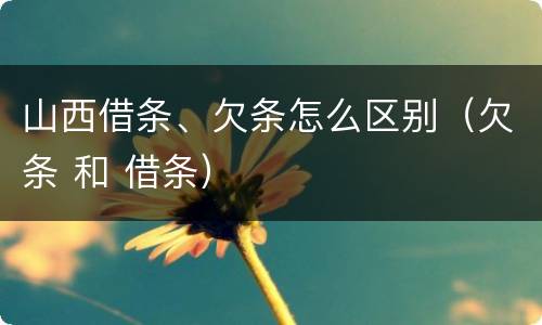 山西借条、欠条怎么区别（欠条 和 借条）