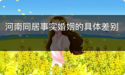 河南同居事实婚姻的具体差别