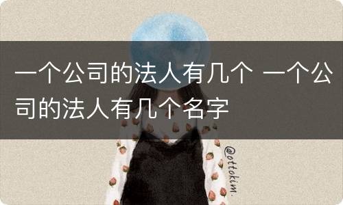一个公司的法人有几个 一个公司的法人有几个名字