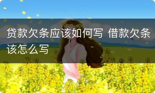 贷款欠条应该如何写 借款欠条该怎么写