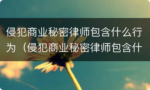 侵犯商业秘密律师包含什么行为（侵犯商业秘密律师包含什么行为呢）