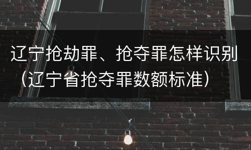 辽宁抢劫罪、抢夺罪怎样识别（辽宁省抢夺罪数额标准）