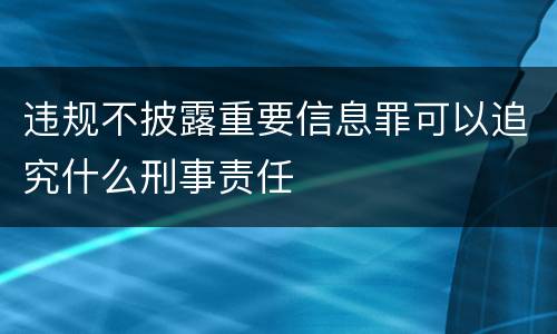 违规不披露重要信息罪可以追究什么刑事责任