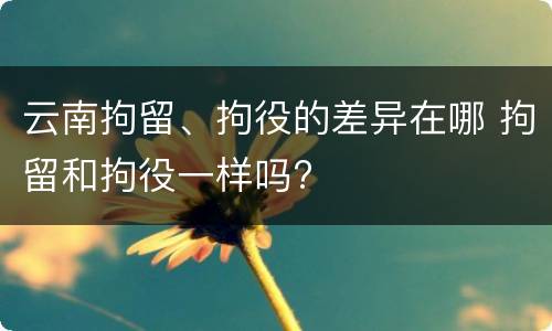 云南拘留、拘役的差异在哪 拘留和拘役一样吗?