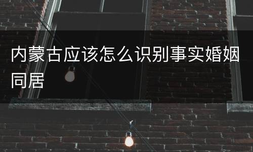 内蒙古应该怎么识别事实婚姻同居