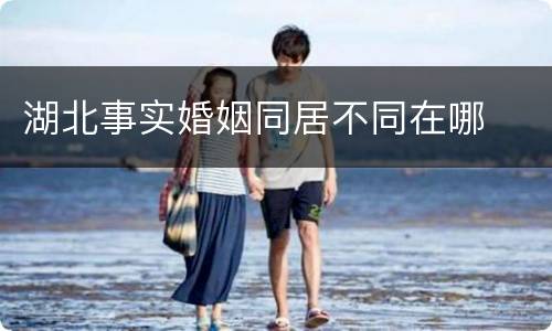 湖北事实婚姻同居不同在哪