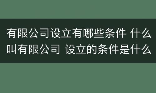 有限公司设立有哪些条件 什么叫有限公司 设立的条件是什么