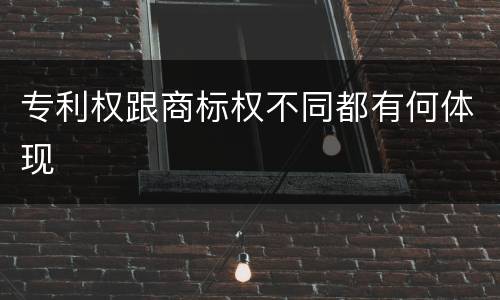 专利权跟商标权不同都有何体现