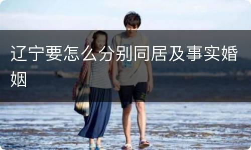 辽宁要怎么分别同居及事实婚姻