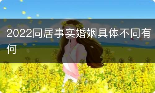 2022同居事实婚姻具体不同有何