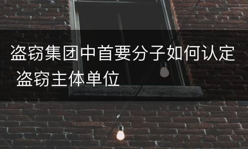 盗窃集团中首要分子如何认定 盗窃主体单位