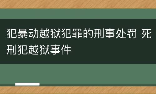 犯暴动越狱犯罪的刑事处罚 死刑犯越狱事件