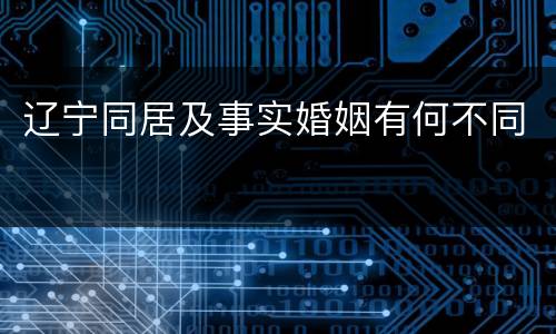辽宁同居及事实婚姻有何不同