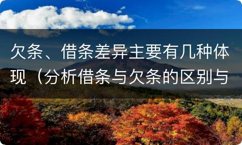 欠条、借条差异主要有几种体现（分析借条与欠条的区别与适用要点）