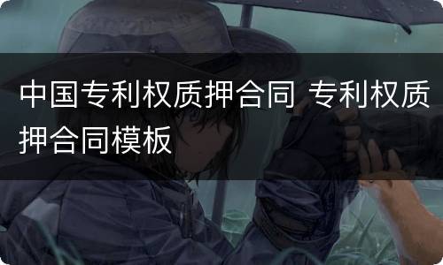 中国专利权质押合同 专利权质押合同模板