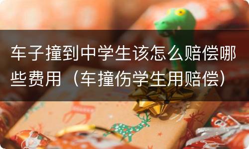 车子撞到中学生该怎么赔偿哪些费用（车撞伤学生用赔偿）