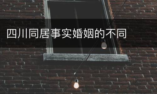 四川同居事实婚姻的不同