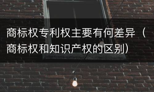 商标权专利权主要有何差异（商标权和知识产权的区别）