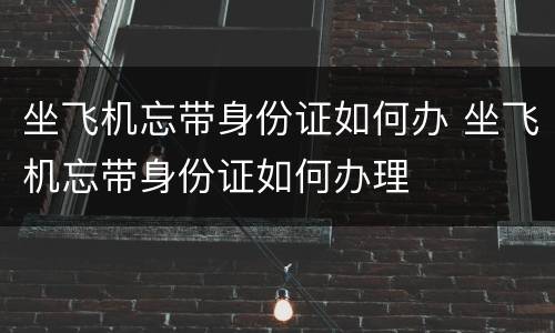 坐飞机忘带身份证如何办 坐飞机忘带身份证如何办理