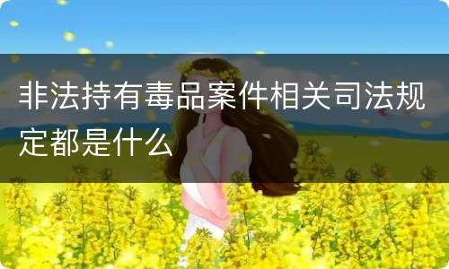 非法持有毒品案件相关司法规定都是什么