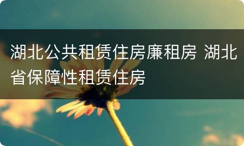 湖北公共租赁住房廉租房 湖北省保障性租赁住房