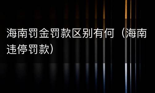 海南罚金罚款区别有何（海南违停罚款）