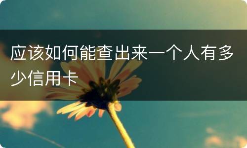 应该如何能查出来一个人有多少信用卡