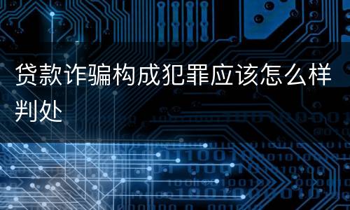 贷款诈骗构成犯罪应该怎么样判处