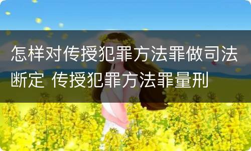 怎样对传授犯罪方法罪做司法断定 传授犯罪方法罪量刑