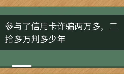 参与了信用卡诈骗两万多，二拾多万判多少年