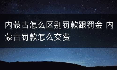内蒙古怎么区别罚款跟罚金 内蒙古罚款怎么交费