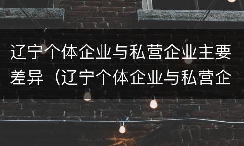 辽宁个体企业与私营企业主要差异（辽宁个体企业与私营企业主要差异是什么）