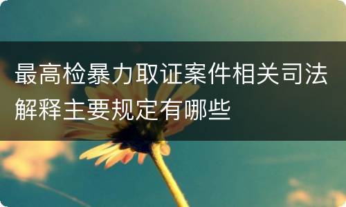 最高检暴力取证案件相关司法解释主要规定有哪些