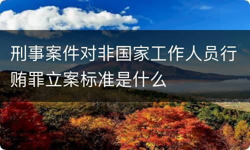 刑事案件对非国家工作人员行贿罪立案标准是什么