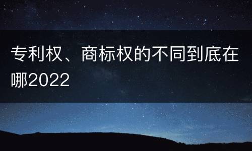 专利权、商标权的不同到底在哪2022