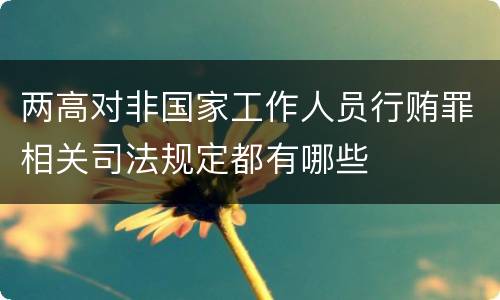 两高对非国家工作人员行贿罪相关司法规定都有哪些