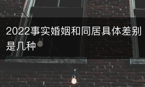 2022事实婚姻和同居具体差别是几种