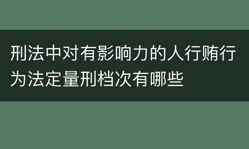 刑法中对有影响力的人行贿行为法定量刑档次有哪些
