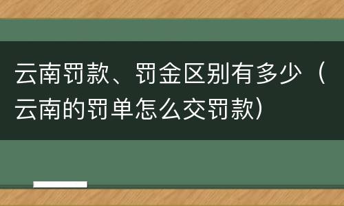 云南罚款、罚金区别有多少（云南的罚单怎么交罚款）