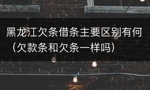 黑龙江欠条借条主要区别有何（欠款条和欠条一样吗）