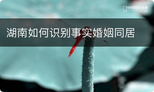 湖南如何识别事实婚姻同居